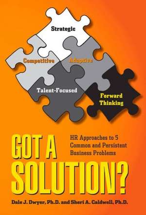 Got a Solution?: HR Approaches to 5 Common and Persistent Business Problems de Dale J. Dwyer