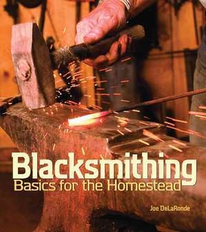 Blacksmithing Basics for the Homestead de Joe Delaronde