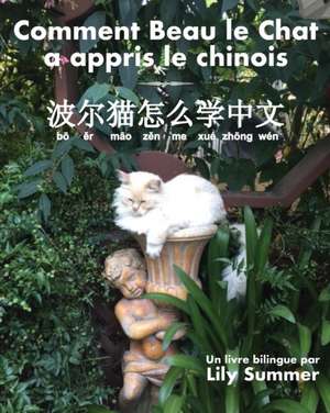 Comment Beau le Chat a appris le chinois de Lily Summer