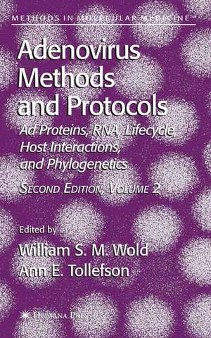 Adenovirus Methods and Protocols: Volume 2: Ad Proteins and RNA, Lifecycle and Host Interactions, and Phyologenetics de William S. M. Wold