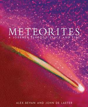 Meteorites: Meteorites de Alex Bevan