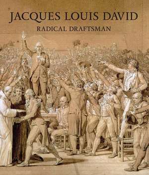 Jacques Louis David: Radical Draftsman de Perrin Stein