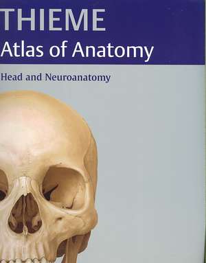 Head and Neuroanatomy (THIEME Atlas of Anatomy) de Michael Schuenke