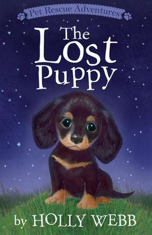 The Lost Puppy de Holly Webb