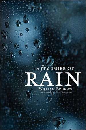 A Fine Smirr of Rain de William PhD Bridges