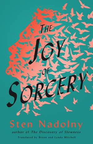 The Joy of Sorcery de Sten Nadolny