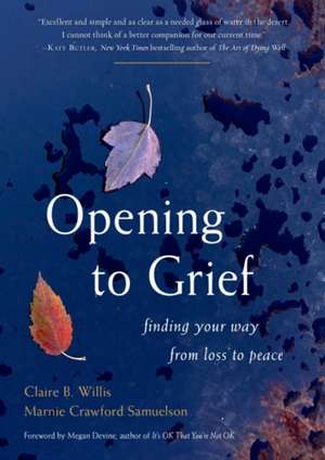 Opening to Grief de Claire B Willis