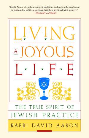 Living a Joyous Life: The True Spirit of Jewish Practice de David Aaron