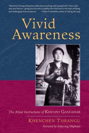 Vivid Awareness: The Mind Instructions of Khenpo Gangshar de Khenchen Thrangu