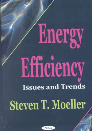 Energy Efficiency: Issues & Trends de Steven T Moeller