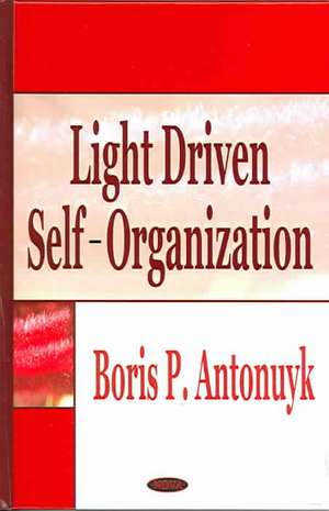 Light Driven Self-Organization de Boris P Antonuyk