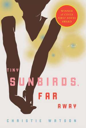 Tiny Sunbirds, Far Away de Christie Watson