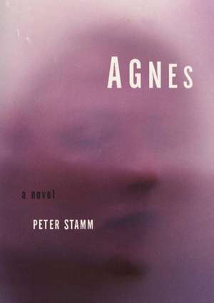 Agnes de Peter Stamm