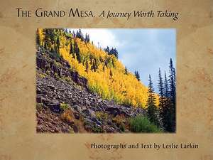 Grand Mesa: A Journey Worth Taking de Leslie Larkin