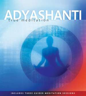 True Meditation de Adyashanti