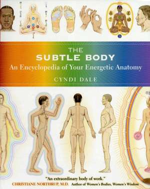 The Subtle Body: An Encyclopedia of Your Energetic Anatomy de Cyndi Dale