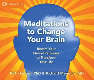 Meditations to Change Your Brain de Rick Hanson