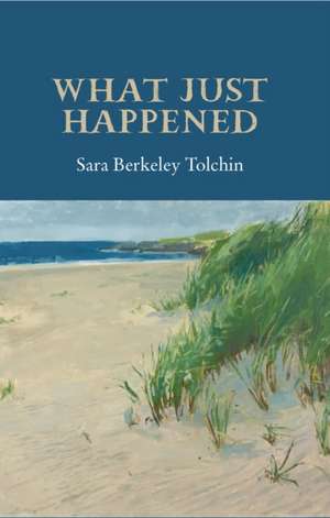 What Just Happened de Sara Berkeley Tolchin