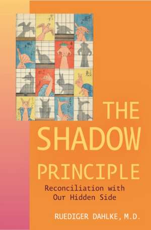 The Shadow Principle de Ruediger Dahlke