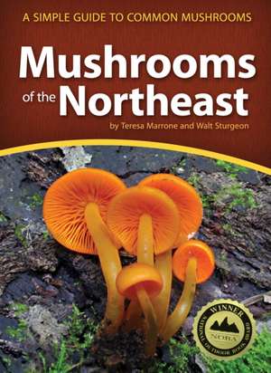 Mushrooms of the Northeast: A Simple Guide to Common Mushrooms de Teresa Marrone