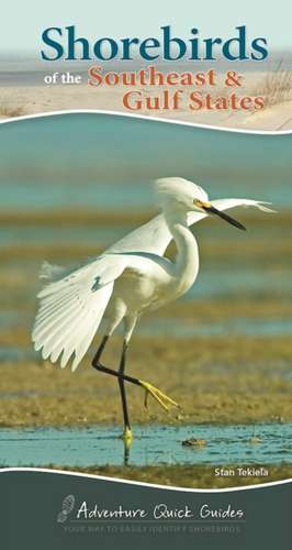 Shore Birds of the Southeast & Gulf States de Stan Tekiela