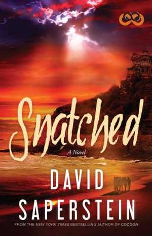 Snatched de David Saperstein