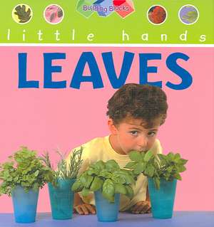 Leaves de Ruth Thomson