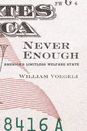 Never Enough: America's Limitless Welfare State de William Voegeli