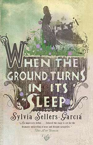 When the Ground Turns in Its Sleep de Sylvia Sellers-Garcia