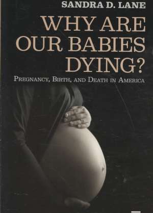 Why are Our Babies Dying?: Pregnancy, Birth, and Death in America de Sandra Lane