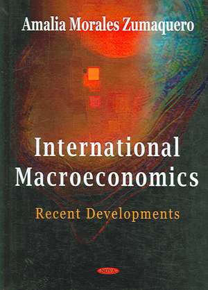 International Macroeconomics: Recent Developments de Amalia Moraels Zumaquero