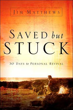 Saved, but Stuck de Jim Matthews