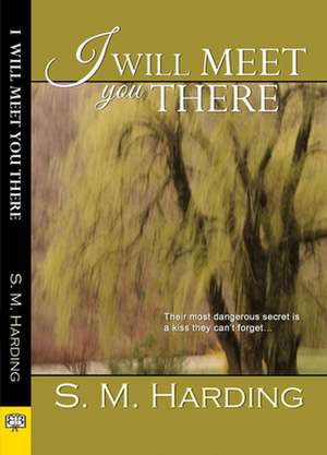 I Will Meet You There de S. M. Harding