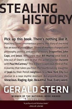 Stealing History de Gerald Stern