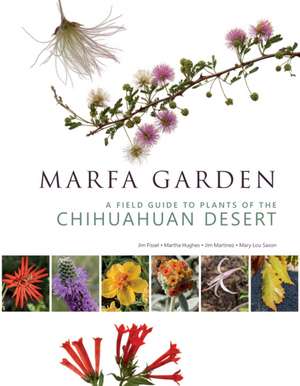 Marfa Garden de Jim Martinez