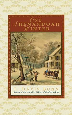 One Shenandoah Winter de Davis Bunn