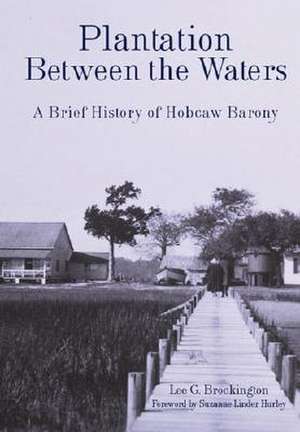 Plantation Between the Waters: A Brief History of Hobcaw Barony de Lee Brockington