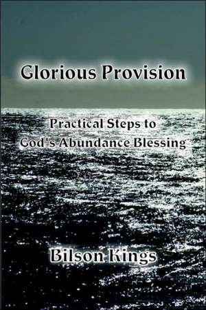 Glorious Provision. Practical Steps to God's Abundance Blessing de Bilson Kings