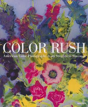 Color Rush de Lisa Hostetler