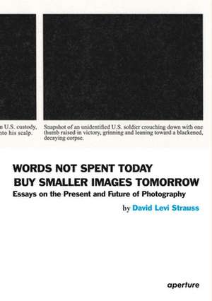 Words Not Spent Today Buy Smaller Images Tomorrow de David Levi Strauss