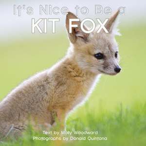 It's Nice to Be a Kit Fox de Molly Woodward