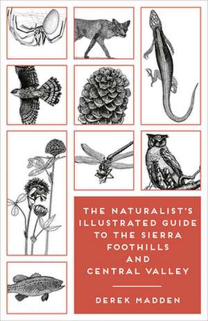 The Naturalist's Illustrated Guide to the Sierra Foothills and Central Valley de Erinn Madden