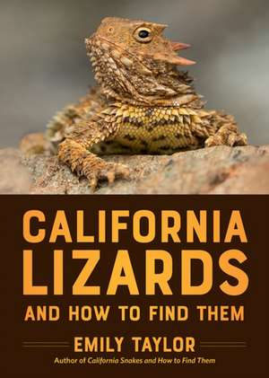 California Lizards and How to Find Them de Emily Taylor