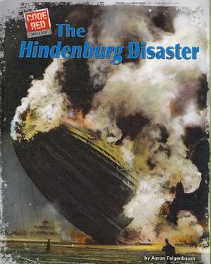 The Hindenburg Disaster de Aaron Feigenbaum