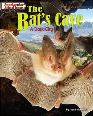 The Bat's Cave: A Dark City de Joyce L. Markovics