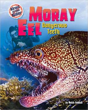 Moray Eel: Dangerous Teeth de Meish Goldish