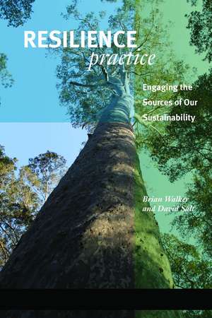 Resilience Practice: Building Capacity to Absorb Disturbance and Maintain Function de Brian Walker PhD