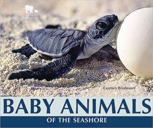 Baby Animals of the Seashore de Carmen Bredeson