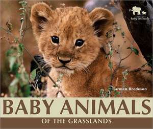 Baby Animals of the Grasslands de Carmen Bredeson