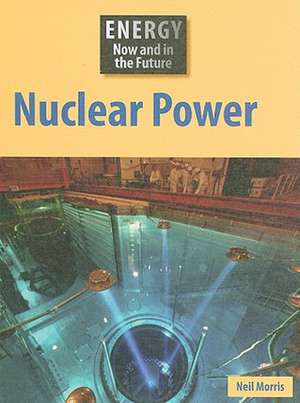 Nuclear Power de Neil Morris